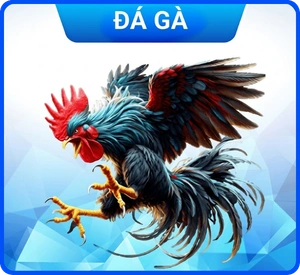 Gà đá GO88